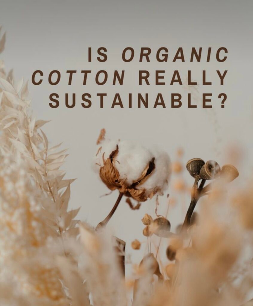 Organic cotton for sustainability